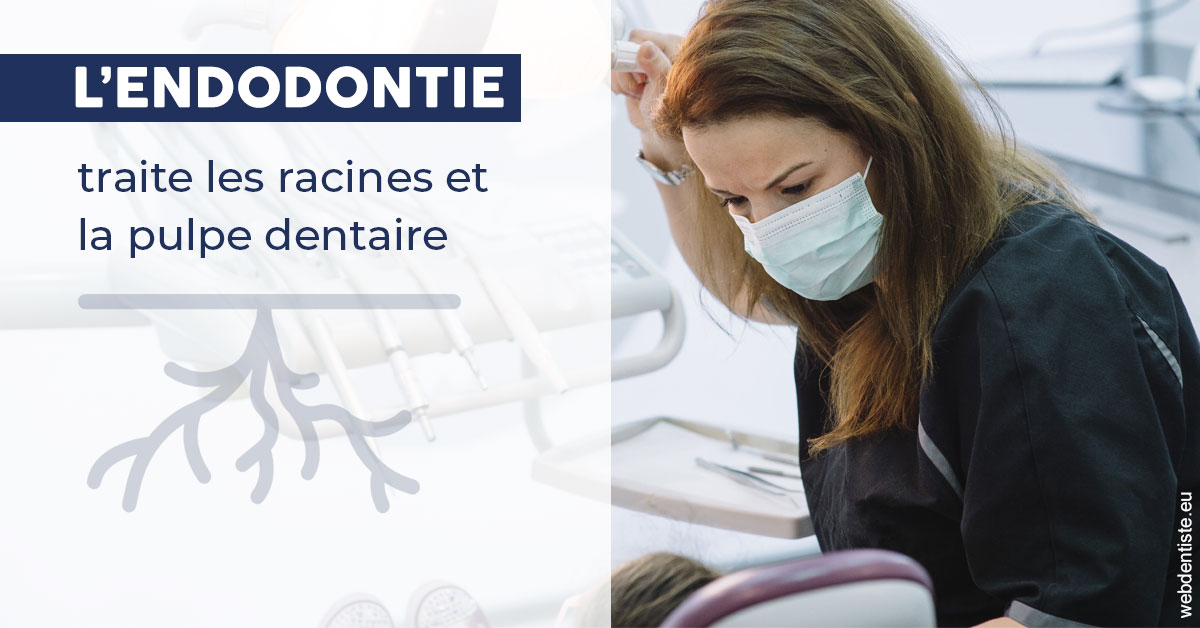 https://dr-surmenian-jerome.chirurgiens-dentistes.fr/L'endodontie 1