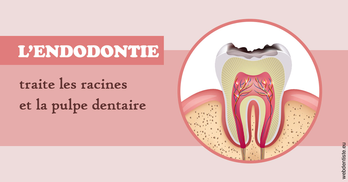 https://dr-surmenian-jerome.chirurgiens-dentistes.fr/L'endodontie 2