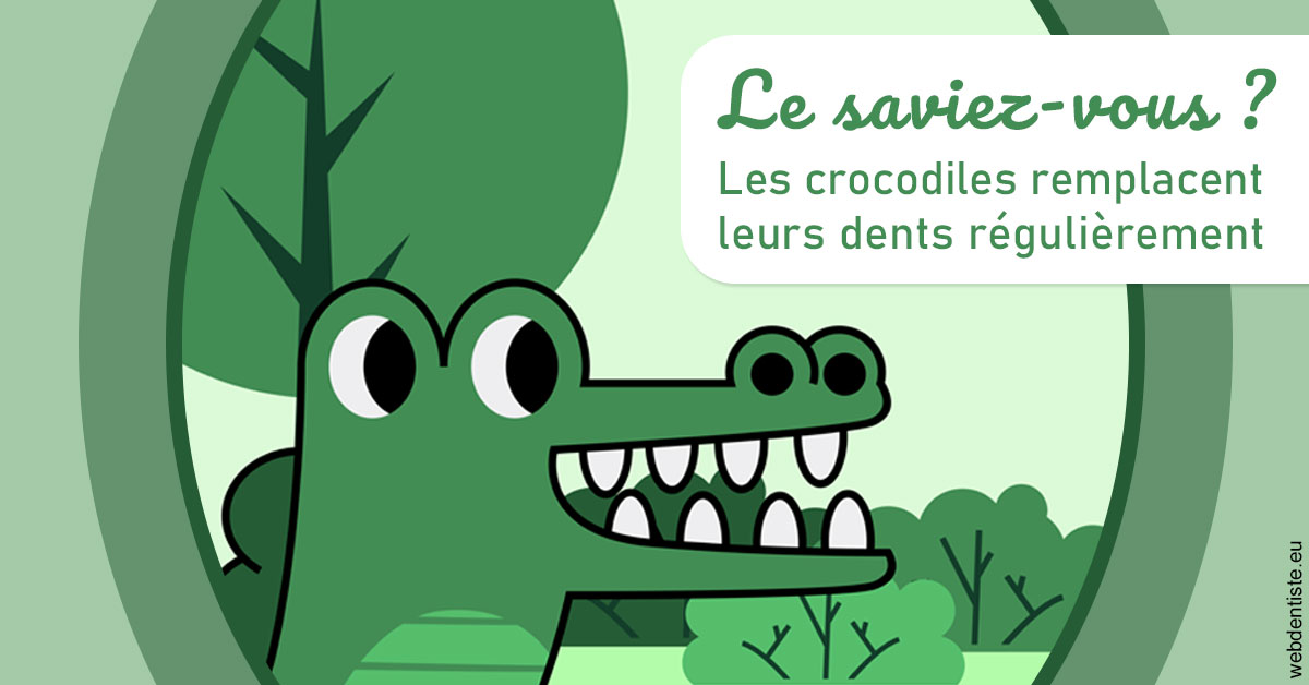 https://dr-surmenian-jerome.chirurgiens-dentistes.fr/Crocodiles 2