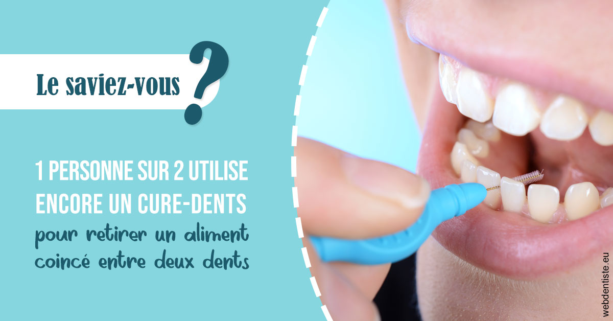 https://dr-surmenian-jerome.chirurgiens-dentistes.fr/Cure-dents 1