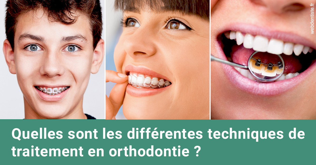 https://dr-surmenian-jerome.chirurgiens-dentistes.fr/Les différentes techniques de traitement 2