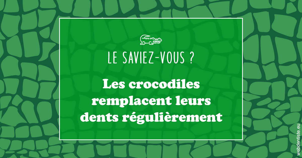https://dr-surmenian-jerome.chirurgiens-dentistes.fr/Crocodiles 1